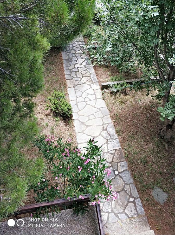 Danica Holiday House Cesarica Bagian luar foto